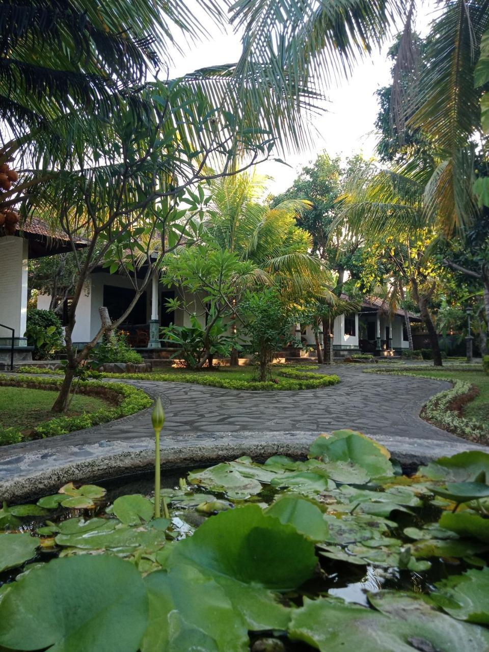 Rini hotel Lovina Esterno foto